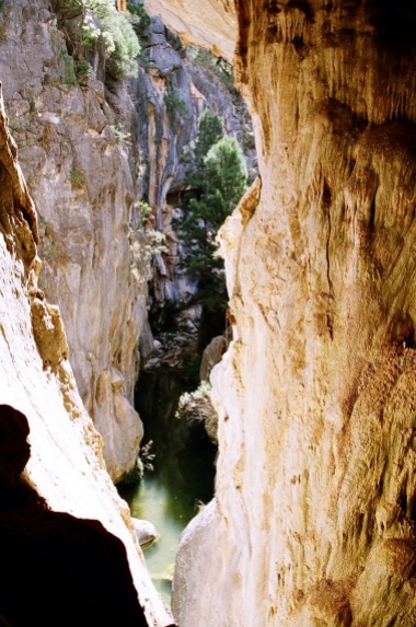 View of Mares Forest Creek from Tinted Cave